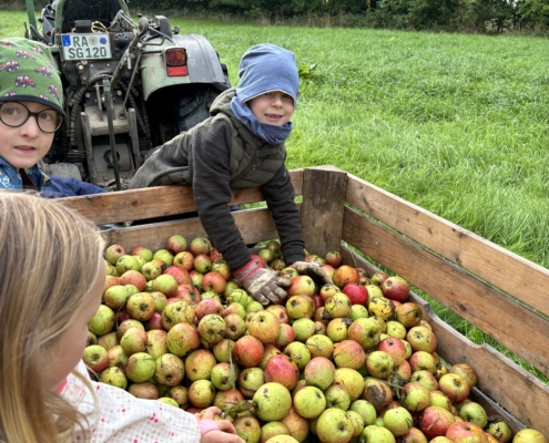 Apfelausflug Aspichhof3